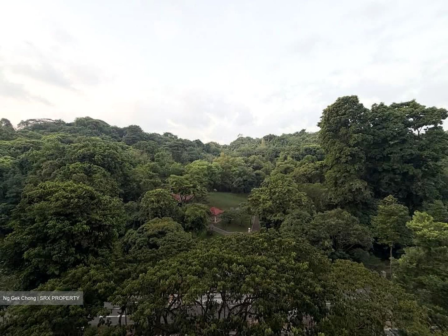 Blk 70A Telok Blangah Ridgeview (Bukit Merah), HDB 4 Rooms #602926411